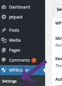 Cara Setting plugin WP Bruiser WordPress